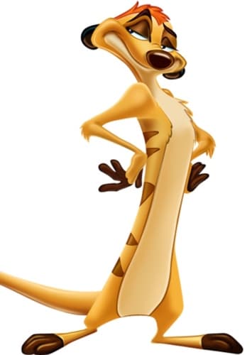 Timon
