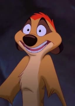 Timon