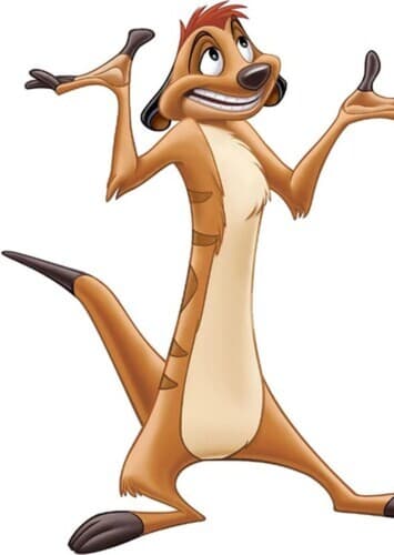 Timon