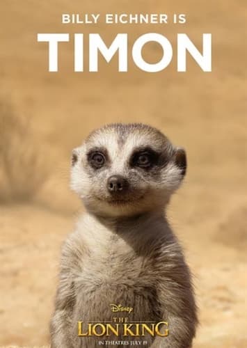 Timon