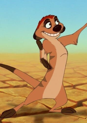 Timon
