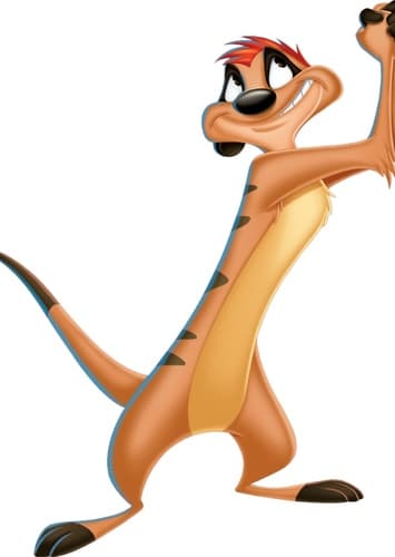 Timon