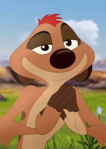 Timon