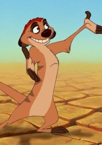 Timon