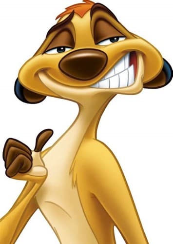 Timon