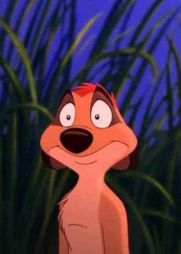 Timon