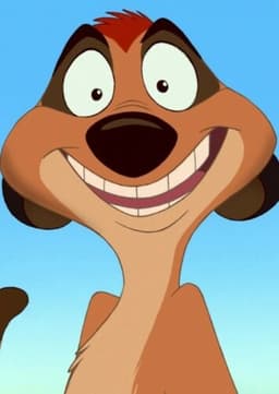 Timon