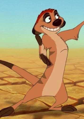 Timon