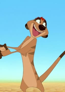 Timon