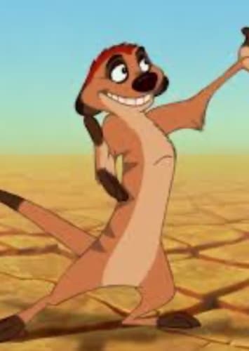 Timon