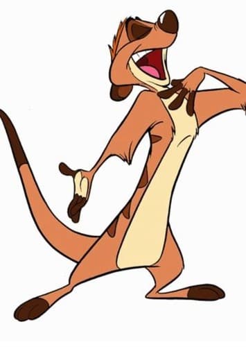 Timon