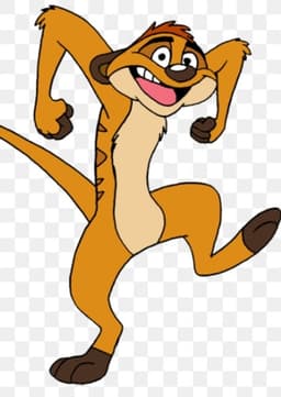 Timon