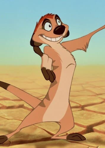 Timon