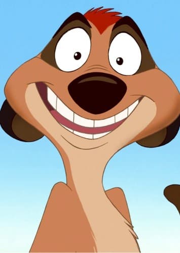 Timon