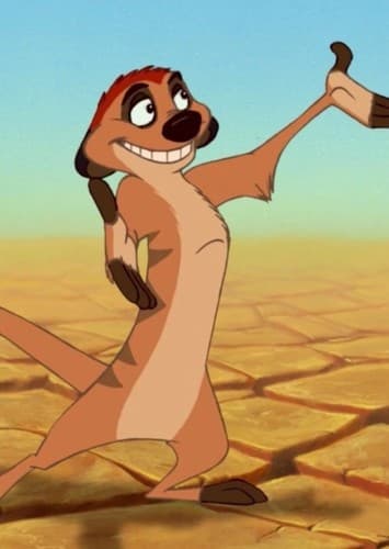 Timon