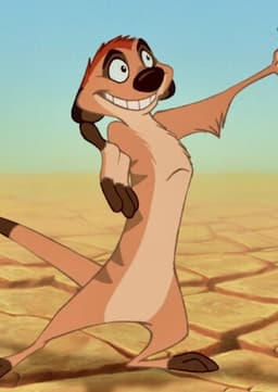 Timon (The Lion King)