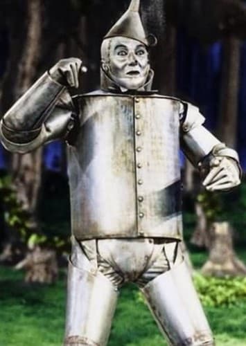 Tin Man