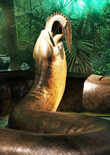 Titanoboa