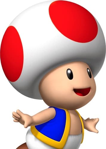 Toad