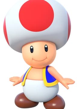Toad