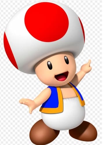 Toad