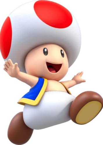 Toad