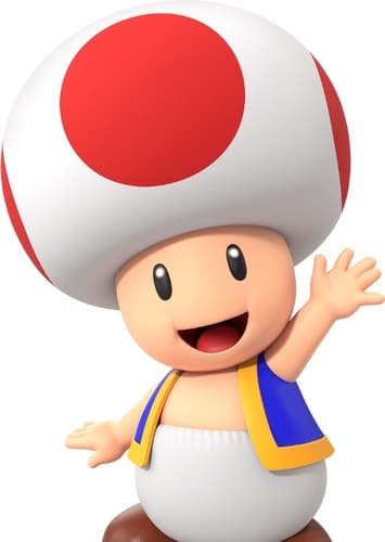 Toad