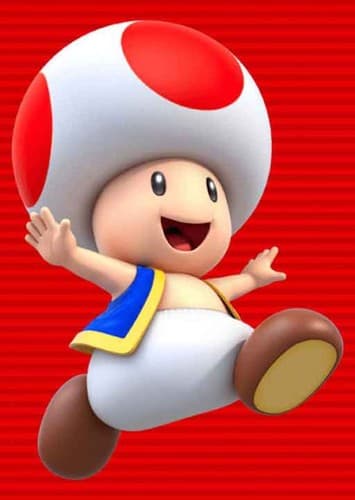 Toad