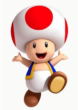 Toad