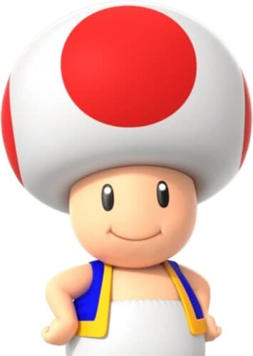 Toad