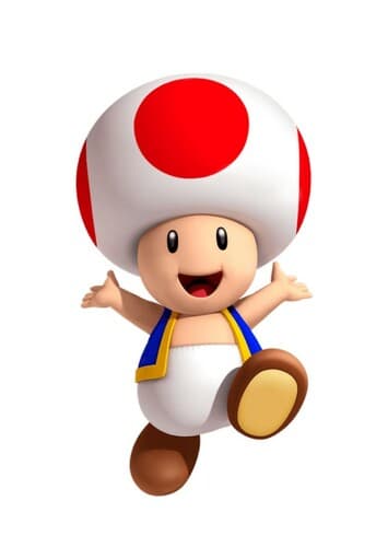 Toad