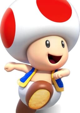 Toad