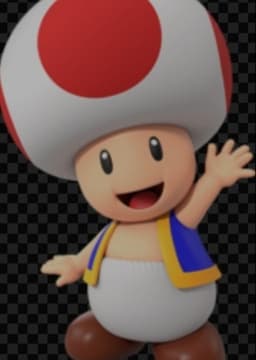 Toad