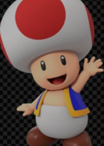Toad