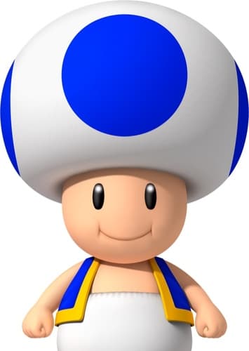Toad