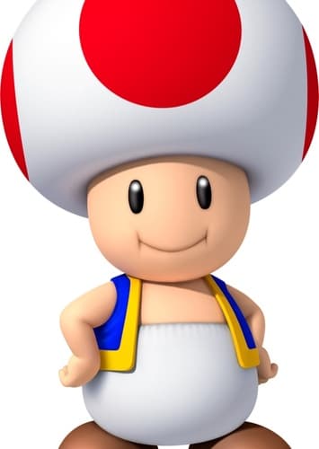 Toad