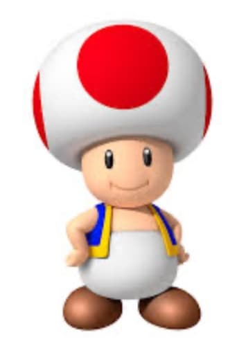 Toad