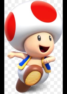 Toad
