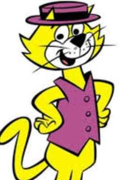 Top Cat