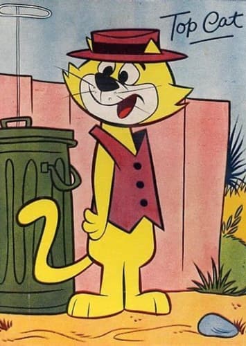 Top Cat
