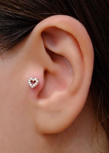 Tragus