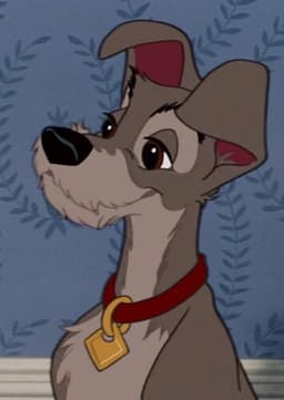 Tramp (Lady and the Tramp)