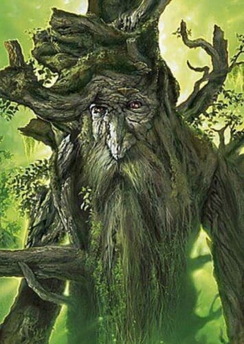 Treebeard