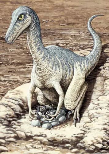 Troodon