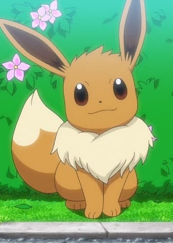 Troy's Eevee