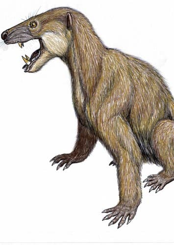 Trucidocynodon