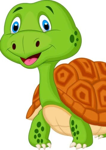 Turtle