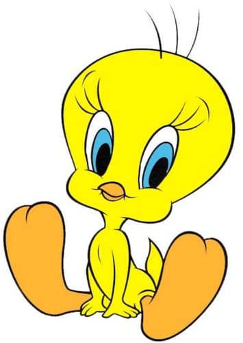 Tweety Bird