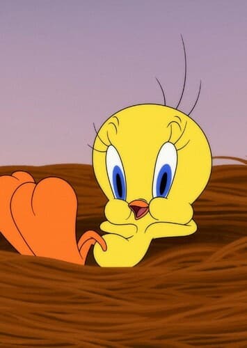 Tweety Bird