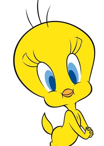 Tweety Bird